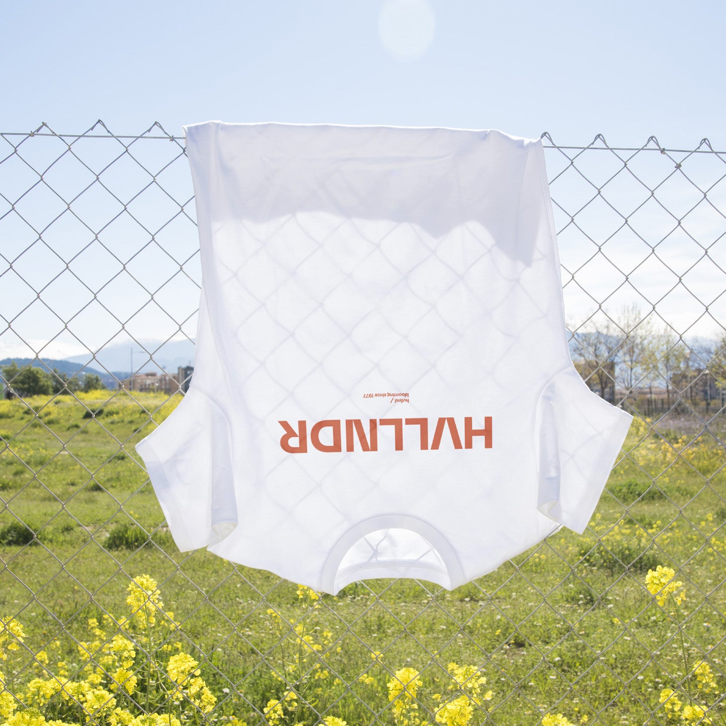 Basic HVLLNDR t-shirt