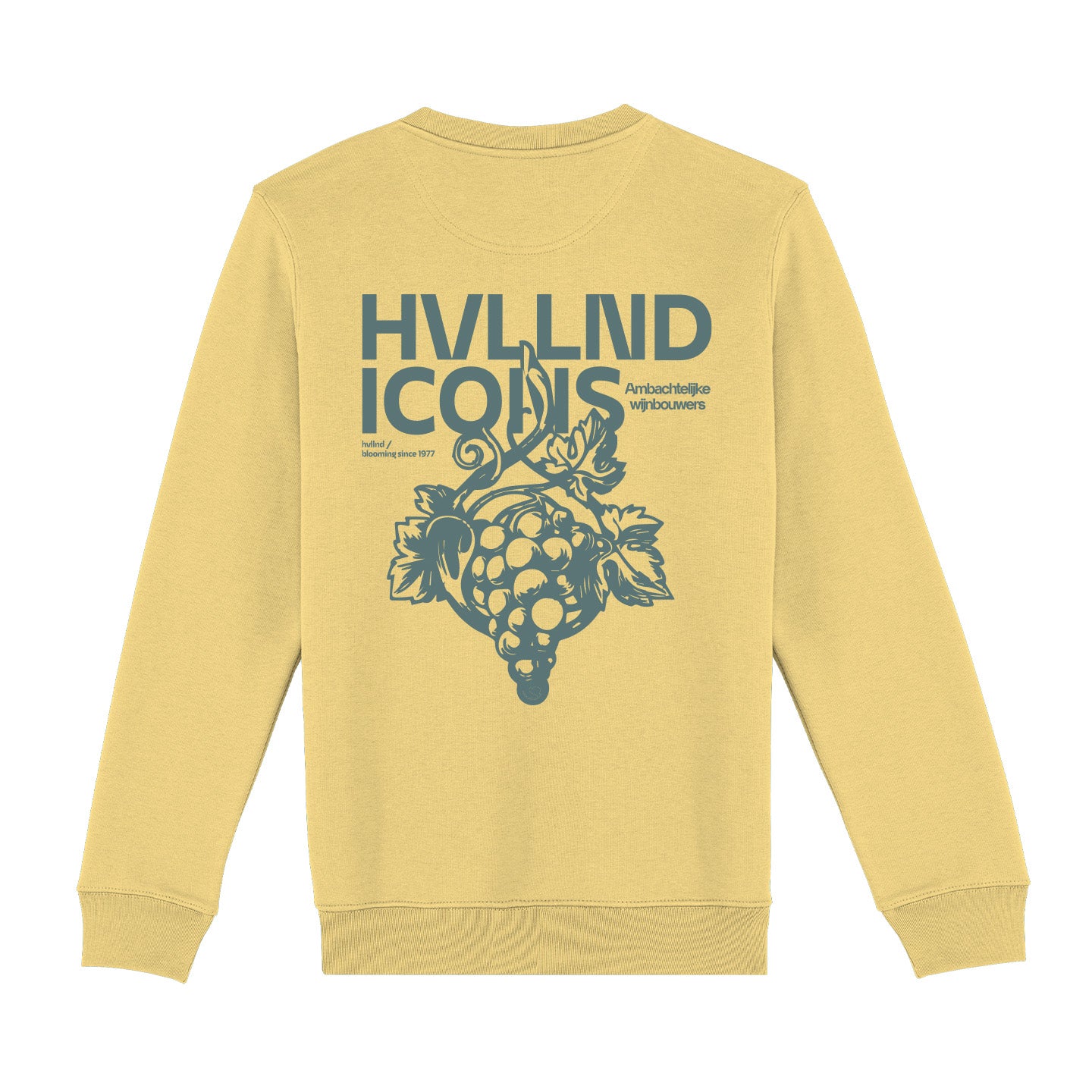 Wijndomein sweater / 6 kleuren